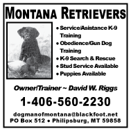 2004 Montana Retrievers
									<br />
									Page 06
									  ♦  
									2½"W x 2½"H<br />
									Colored Cardstock