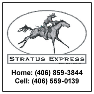 2004 Stratus Express
									<br />
									Page 12
									  ♦  
									2½"W x 2½"H<br />
									Colored Cardstock