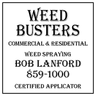 2004 Weed Busters
									<br />
									Page 09
									  ♦  
									2½"W x 2½"H<br />
									Colored Cardstock